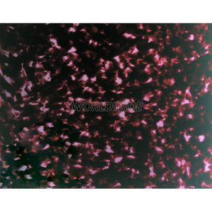 WLTTQX-0018